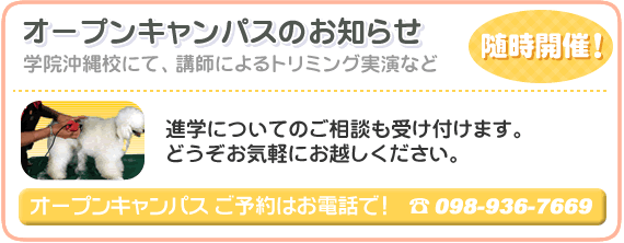 オープンキャンパスのお知らせ